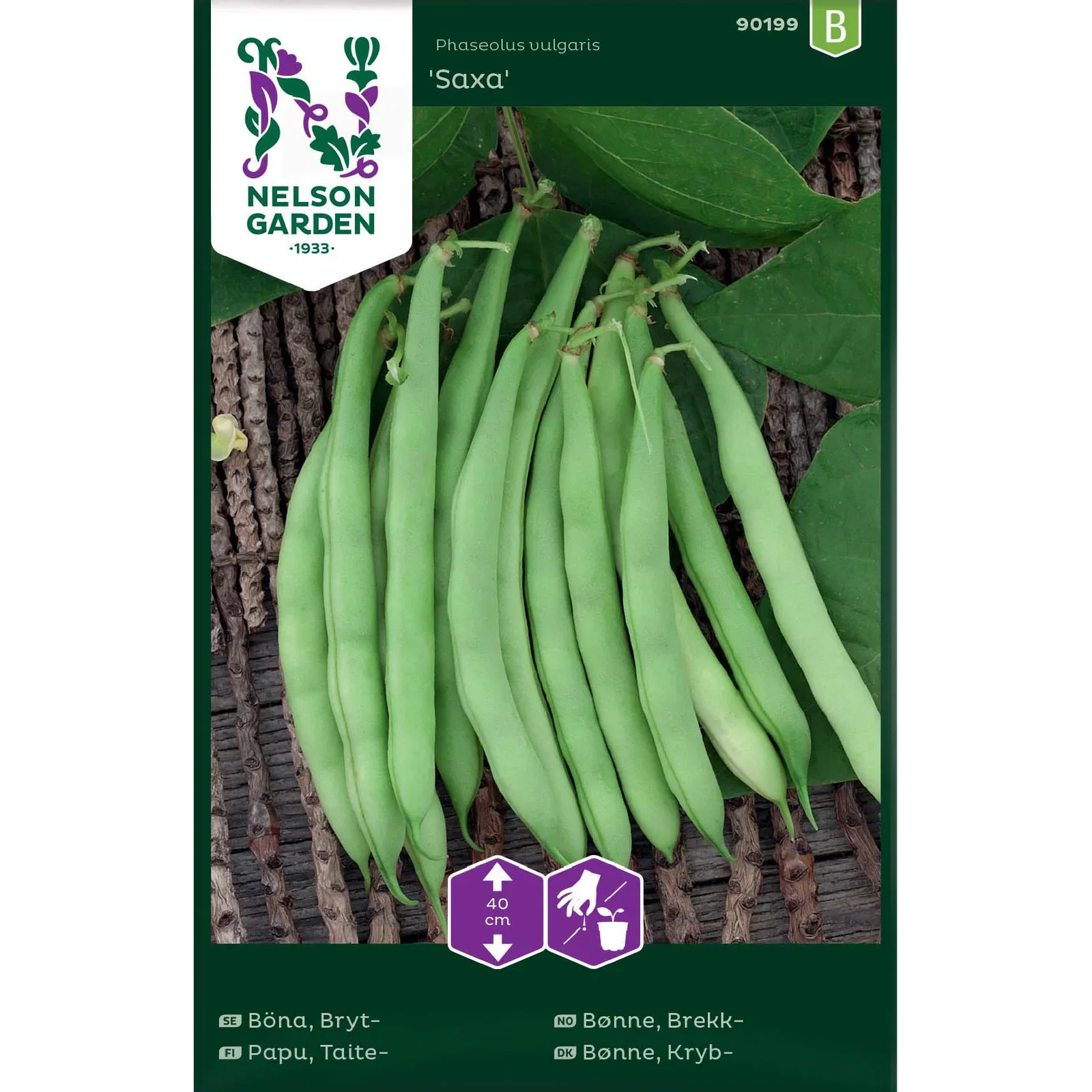 Phaseolus vulgaris 'Saxa' Brekkbønne 'Saxa'