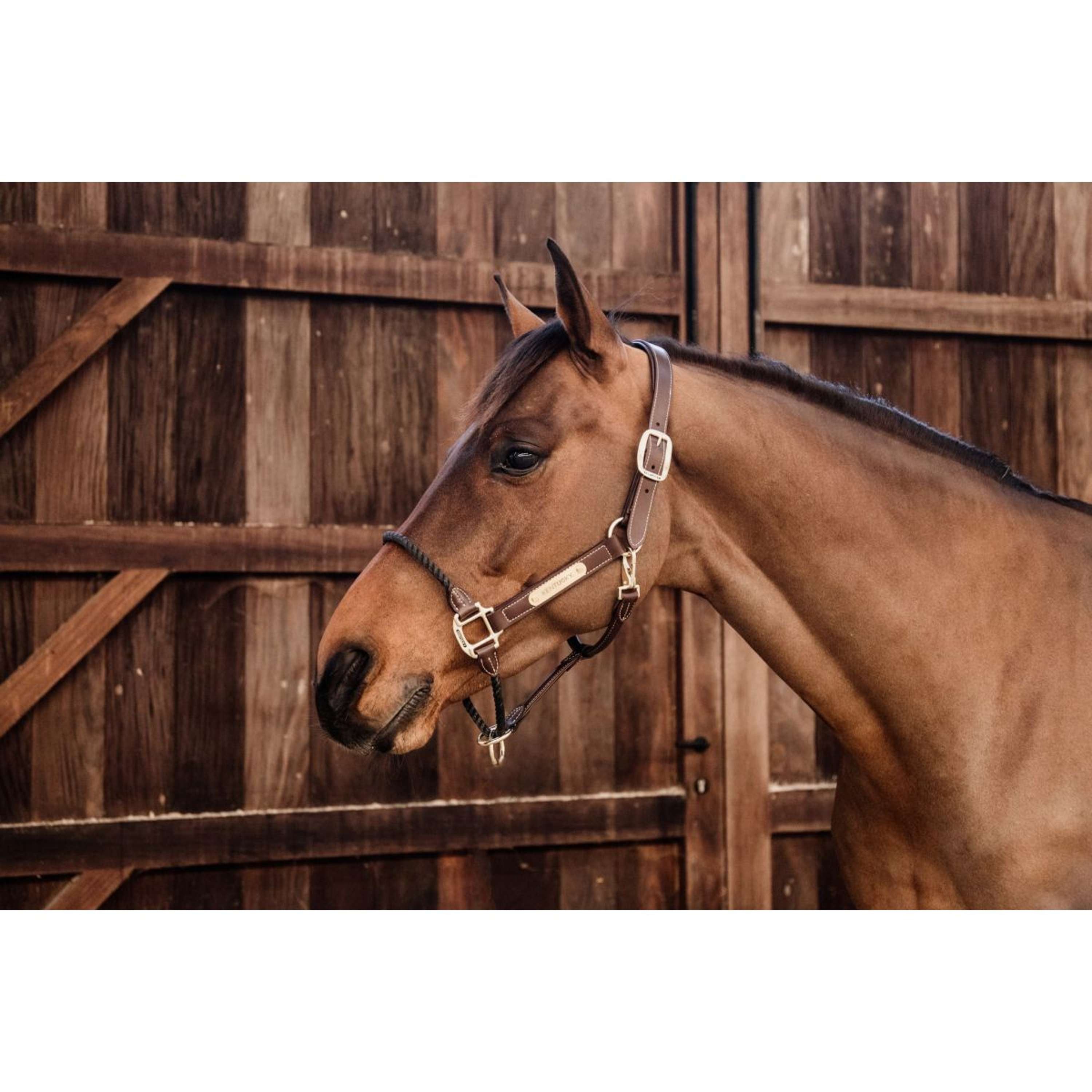 Kentucky Touwhalster Leather