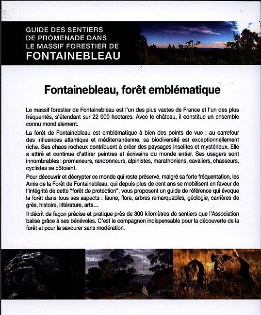 SENTIER FORET DE FONTAINEBLEAU