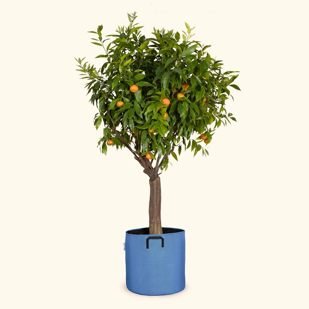 Sac pour plantations respirant 40 cm bleu