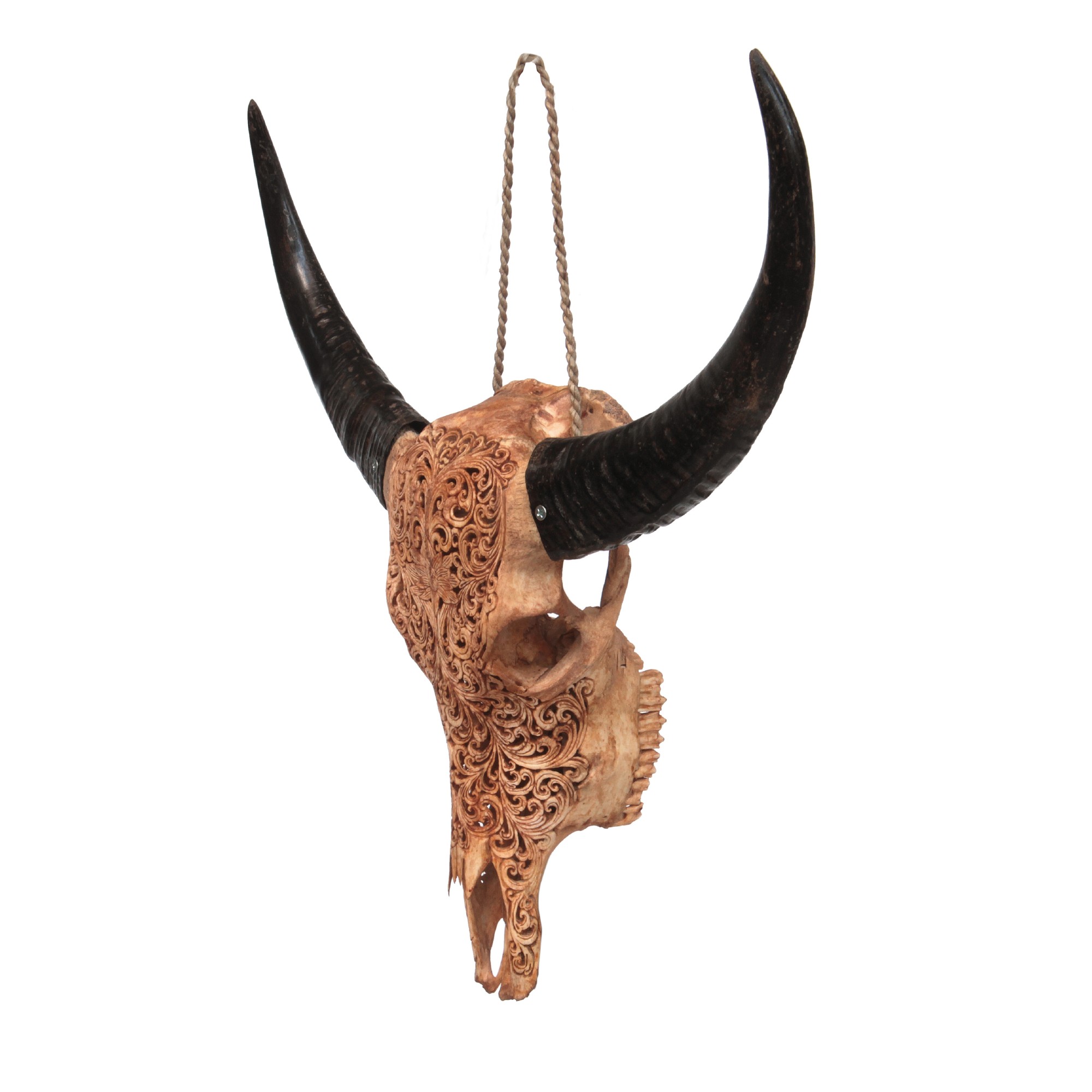 Büffelschädel 'Harjono', antikbraun, B 90 cm, H 60 cm, L 30 cm von fischer's lagerhaus