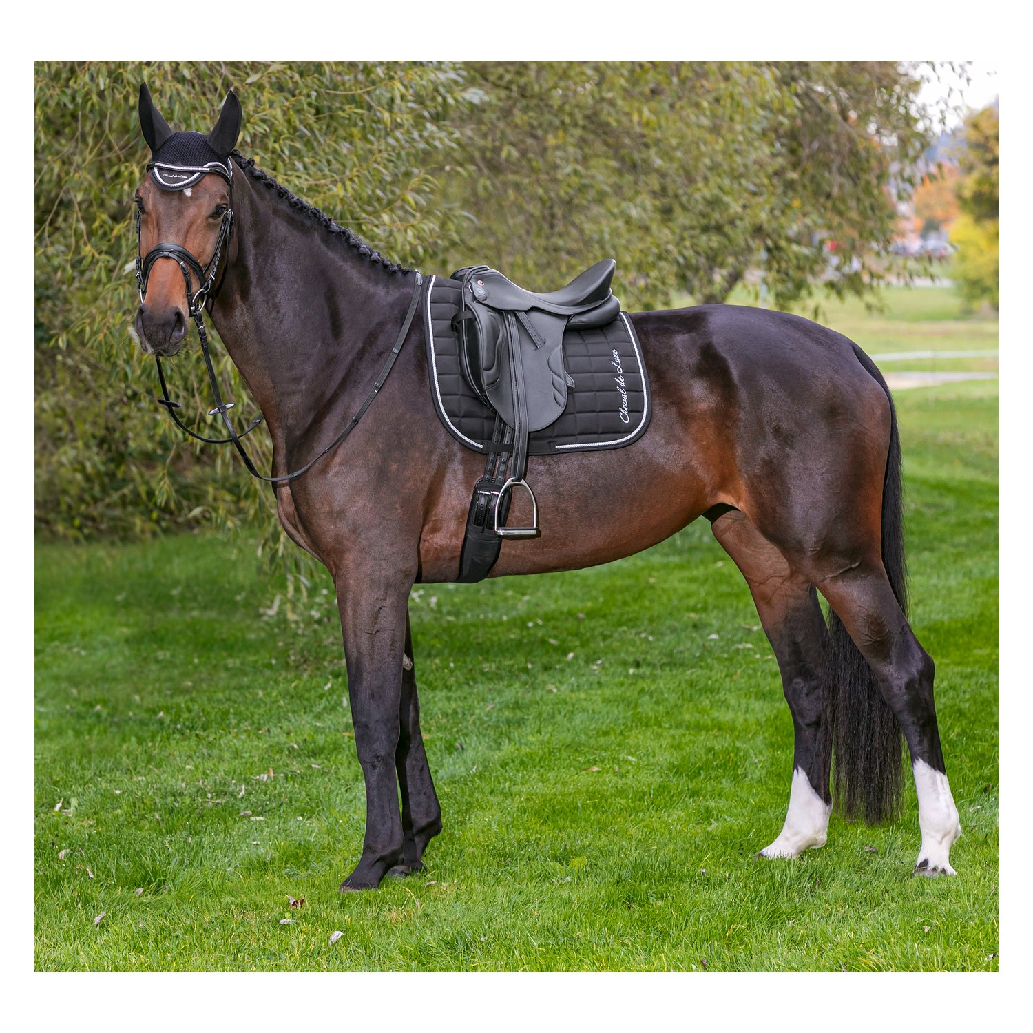 Cheval de Luxe Fliegenohren  - black/silver