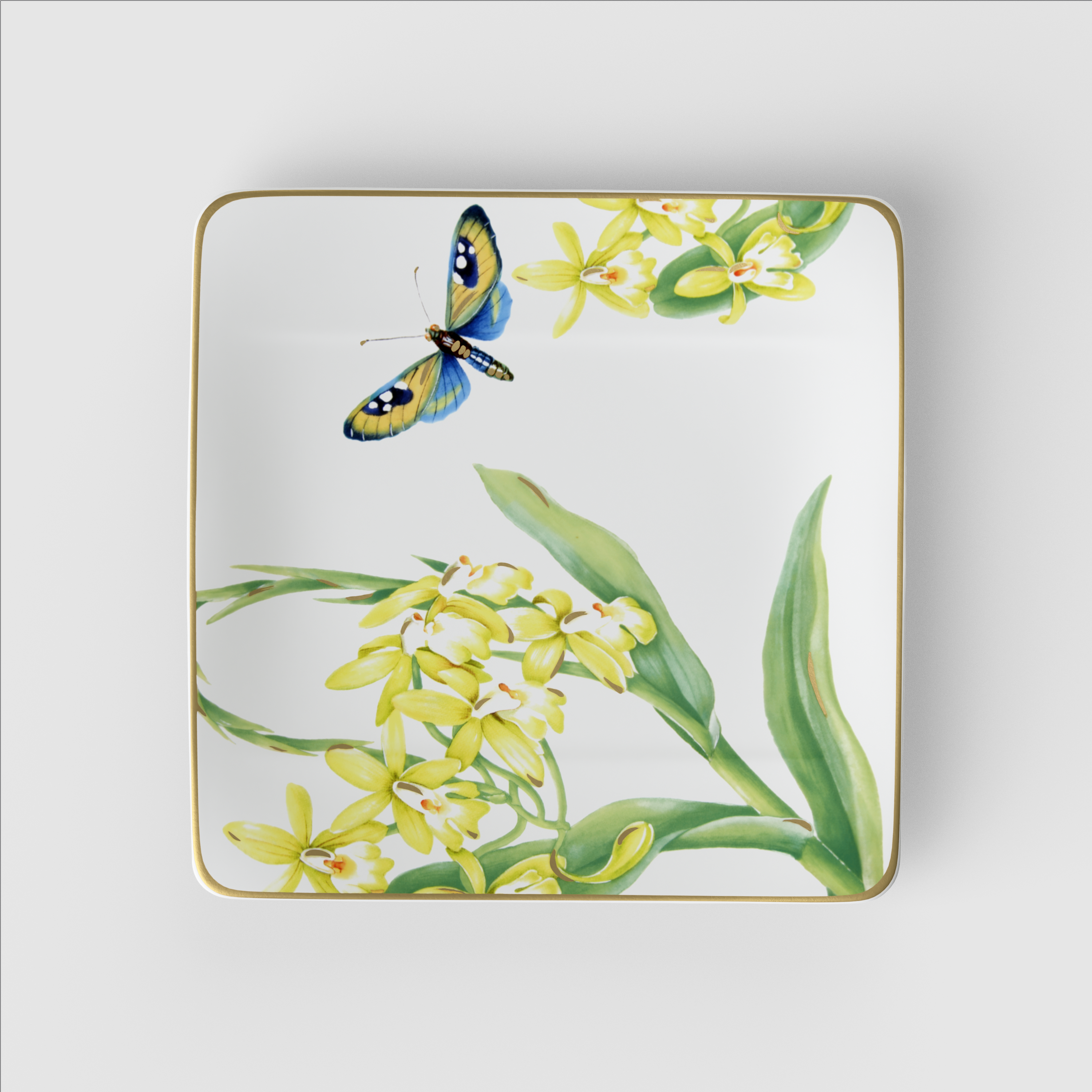 Amazonia Appetizer and dessert plate Multi-colored, 9'' x 9'', Premium Bone Porcelain