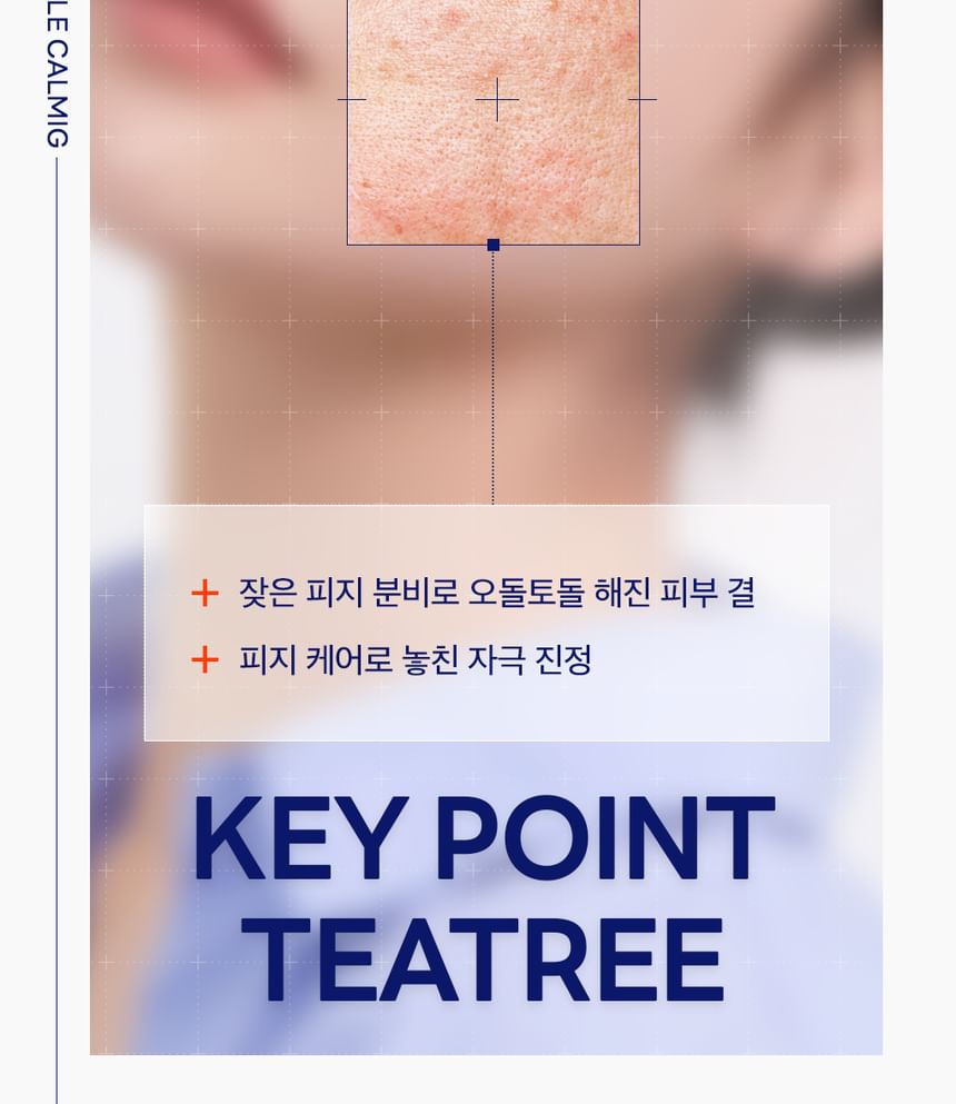 Mediheal - Tea Tree Trouble Calming Cleanser