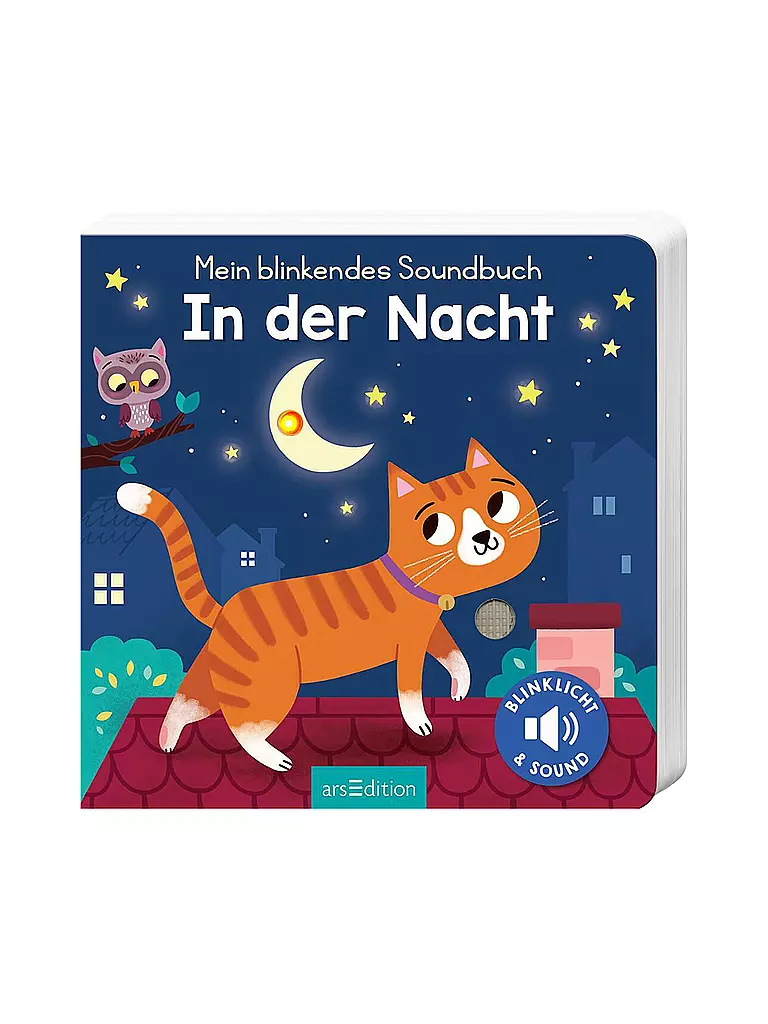ARS EDITION VERLAG Buch - Mein blinkendes Soundbuch - In der Nacht keine Farbe