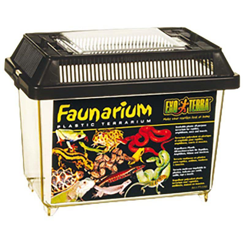Exoterra - Faunarium large plastic37x22x24.5cm