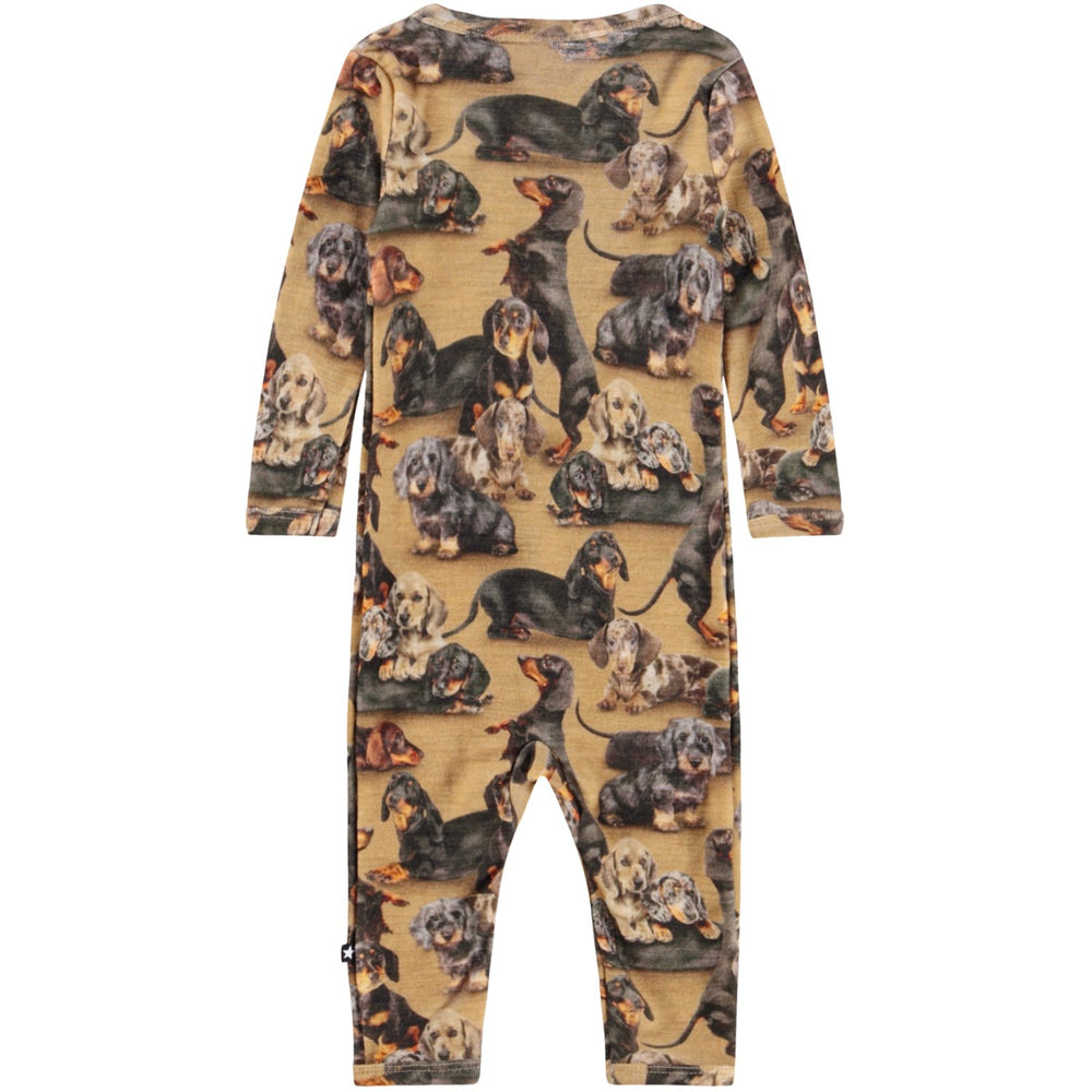 Køb Molo Dachshunds Fahari Uld Bodysuits Jersey