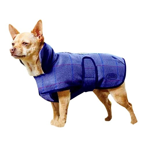 Casaco de tweed azul marinho para cães
