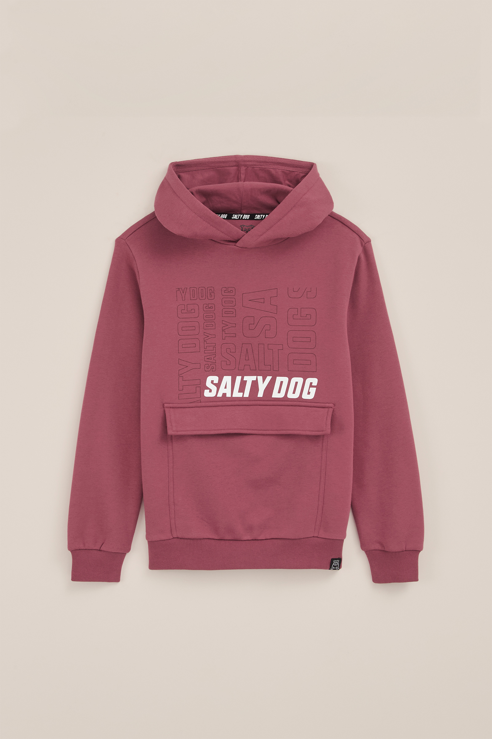 Jongens hoodie met opdruk Salty Dog Oudroze