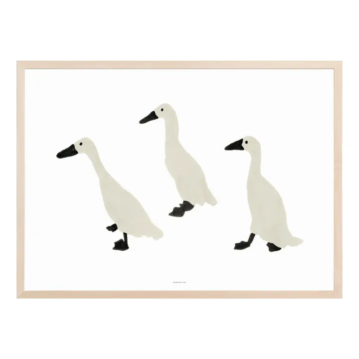 Warmgreytail Affiche Indian runner duck