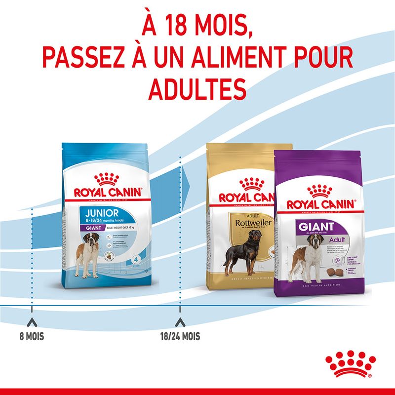 Royal Canin Giant Junior - Croquettes chiot discount | Bitiba