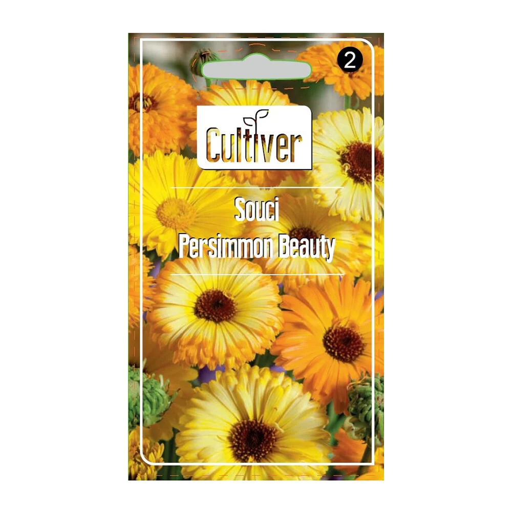 Semences de Calendula Kaki