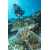 Certina DS Action Diver Automatikuhr Special Edition STC