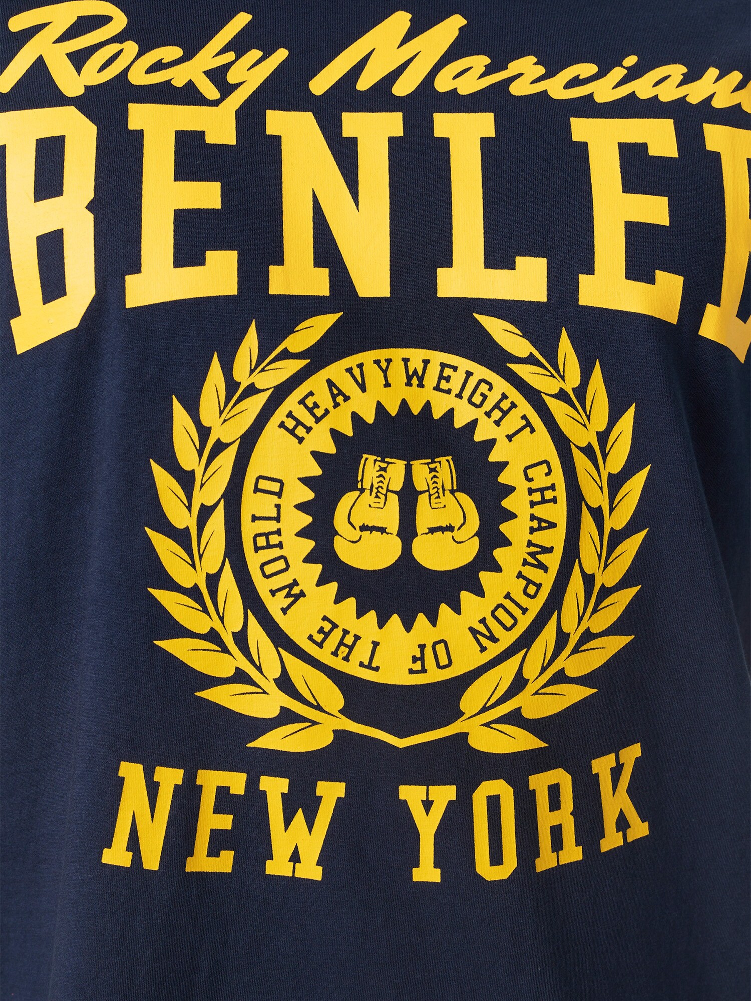 BENLEE Herren T-Shirt normale Passform DUXBURY