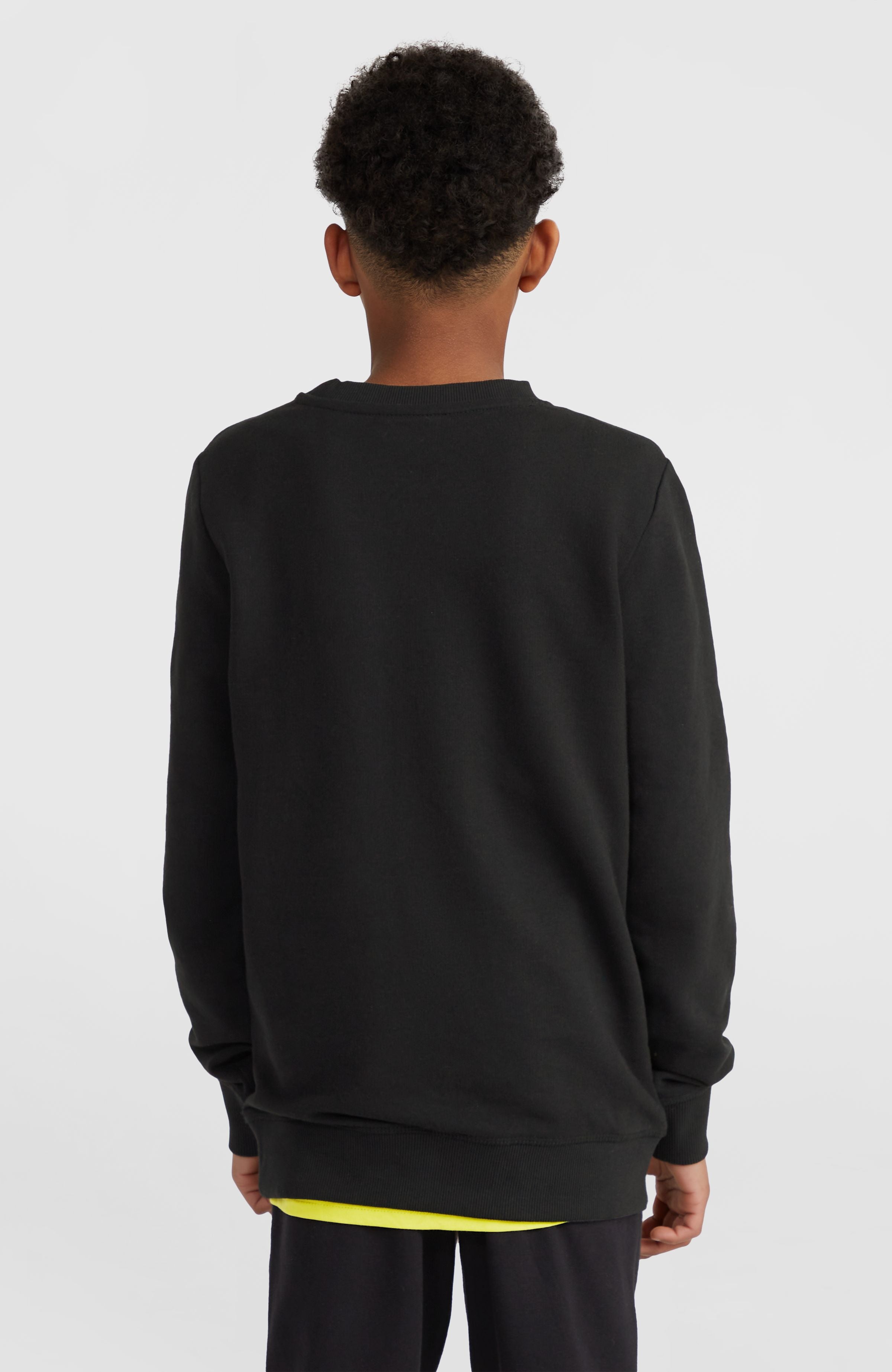O'Neill Logo Crew sweater