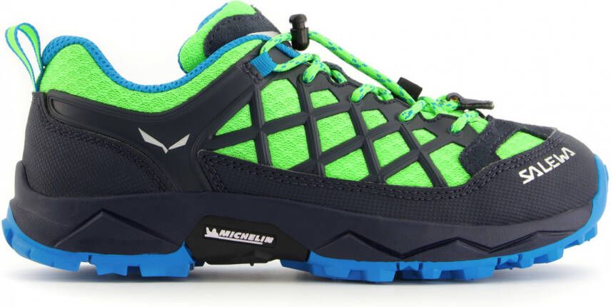 Salewa Ortles Edge Mid GTX Bergschoenen blauw groen