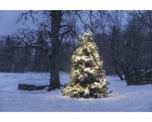 Konstsmide LED-clusterlichtketting, 5,80 m + 5 m aansluitkabel, 768 LED's, warm wit licht, incl. controller, 8 verschillende functies