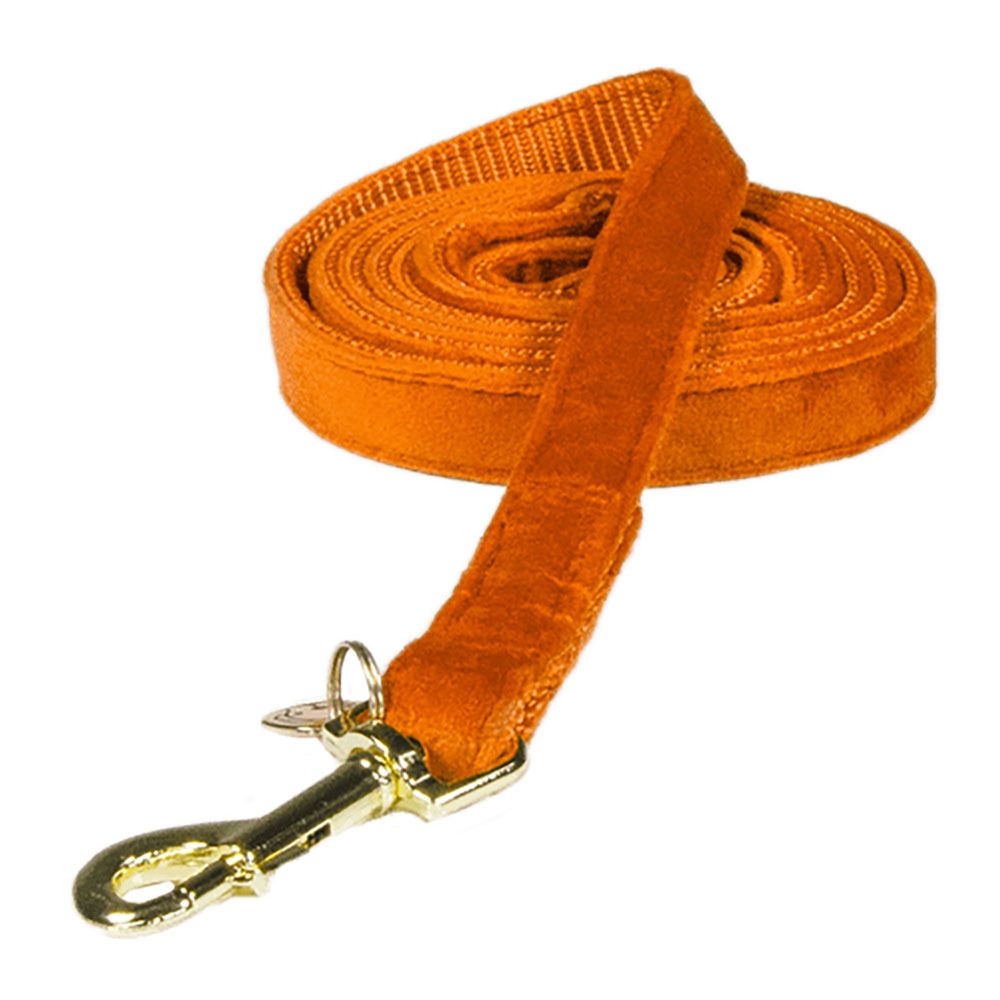 Kentucky VELVET - Laisse pour chien orange