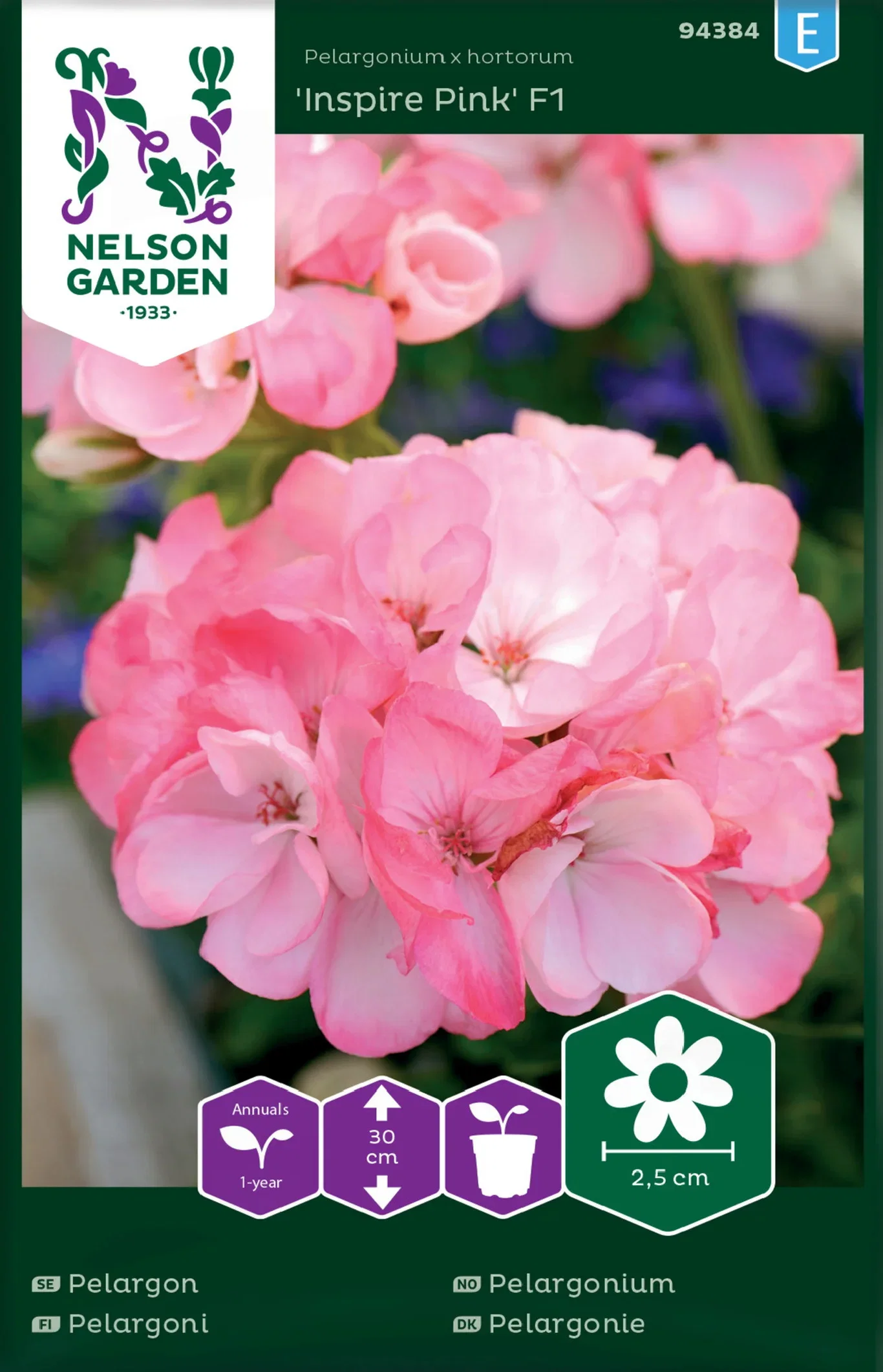 Pelargonium x hortorum Pelargonium 'Inspire Pink' F1