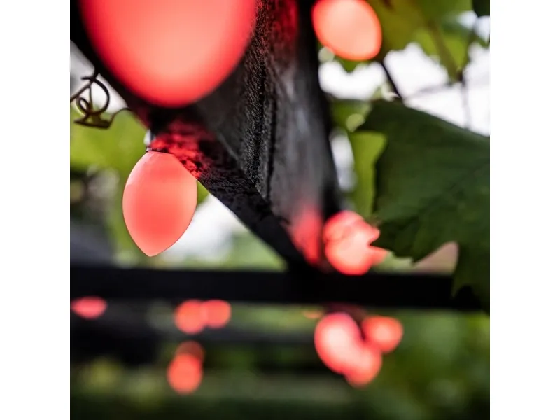 Smart Light Chain Globe Cone - 64 Million Colors and Music Synchronization Multicolor