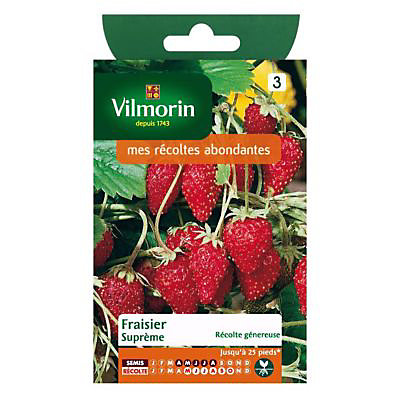 Graines de Fraisier 4 Saisons Suprême