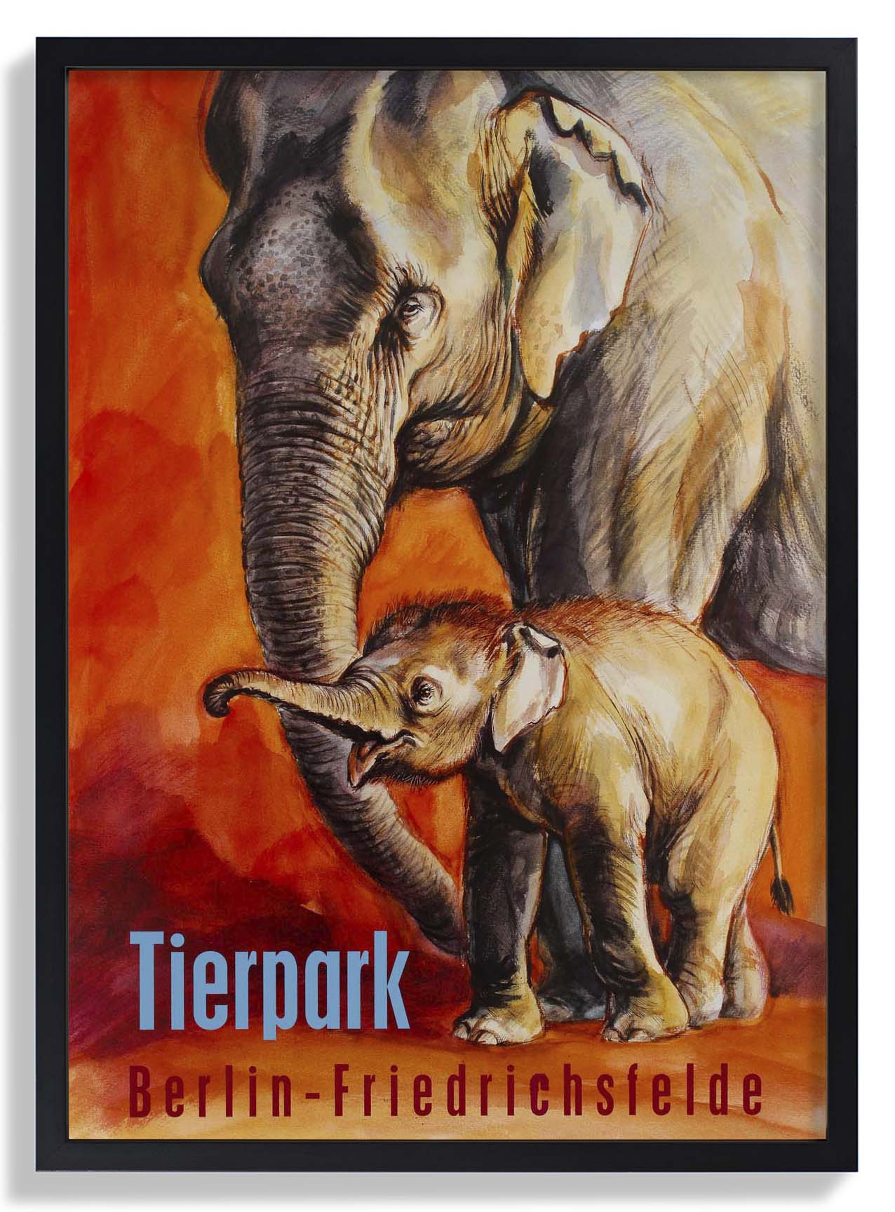 Zoo Tierpark Berlin Elefant