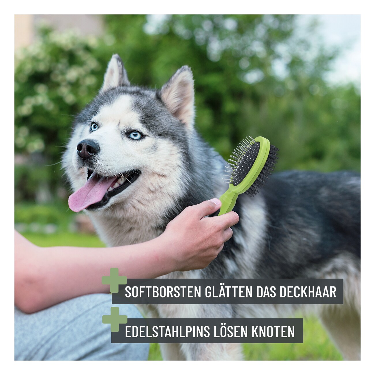 REAVET Bürste 2in1