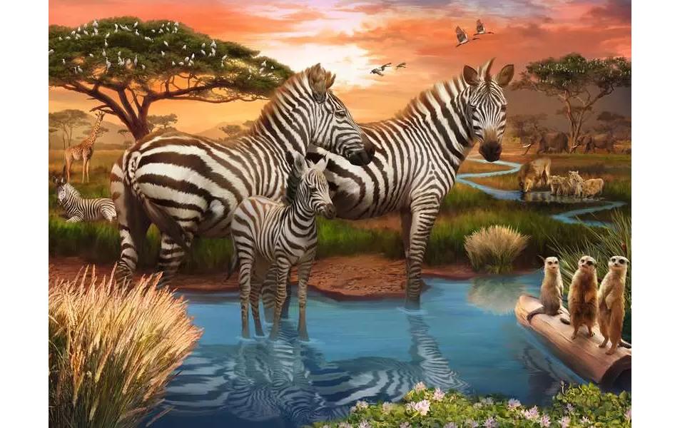 Puzzle Zebras am WasserlochPremium-Puzzle