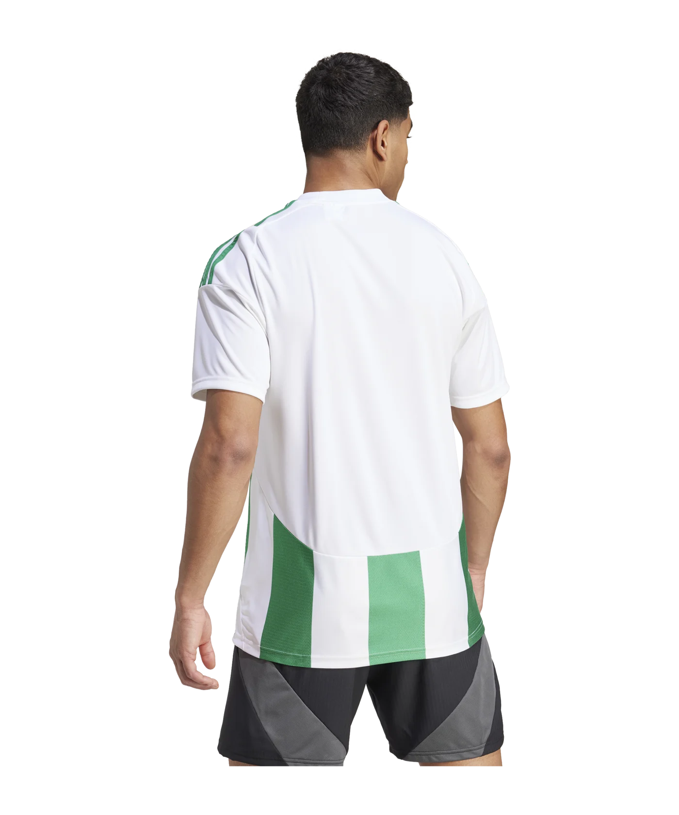 adidas Striped 24 Trikot Weiss Grün