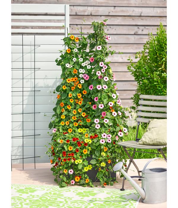 Dehner Metall-Blumenspalier, 150 cm