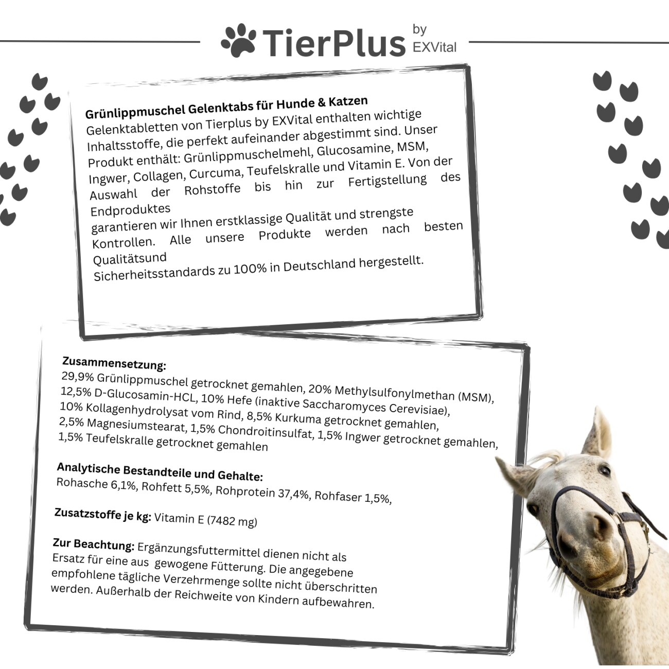 TierPlus ® Grünlippmuschel Gelenktabs