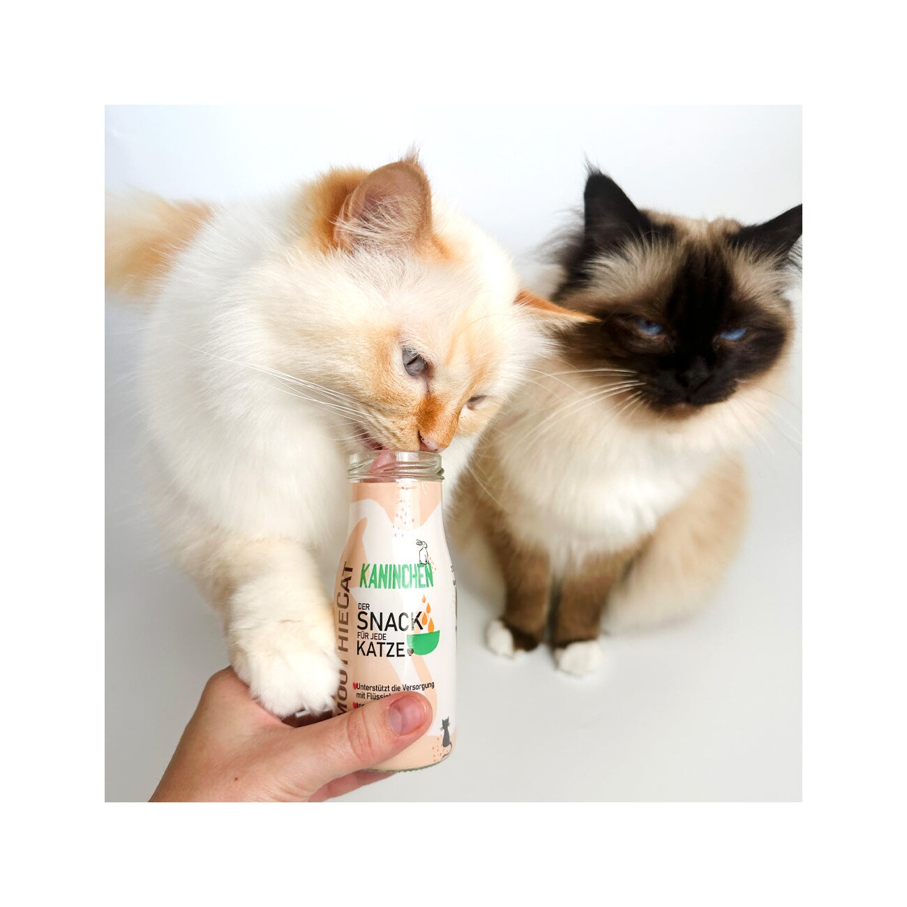 SmoothieCat Kaninchen 6x150 g
