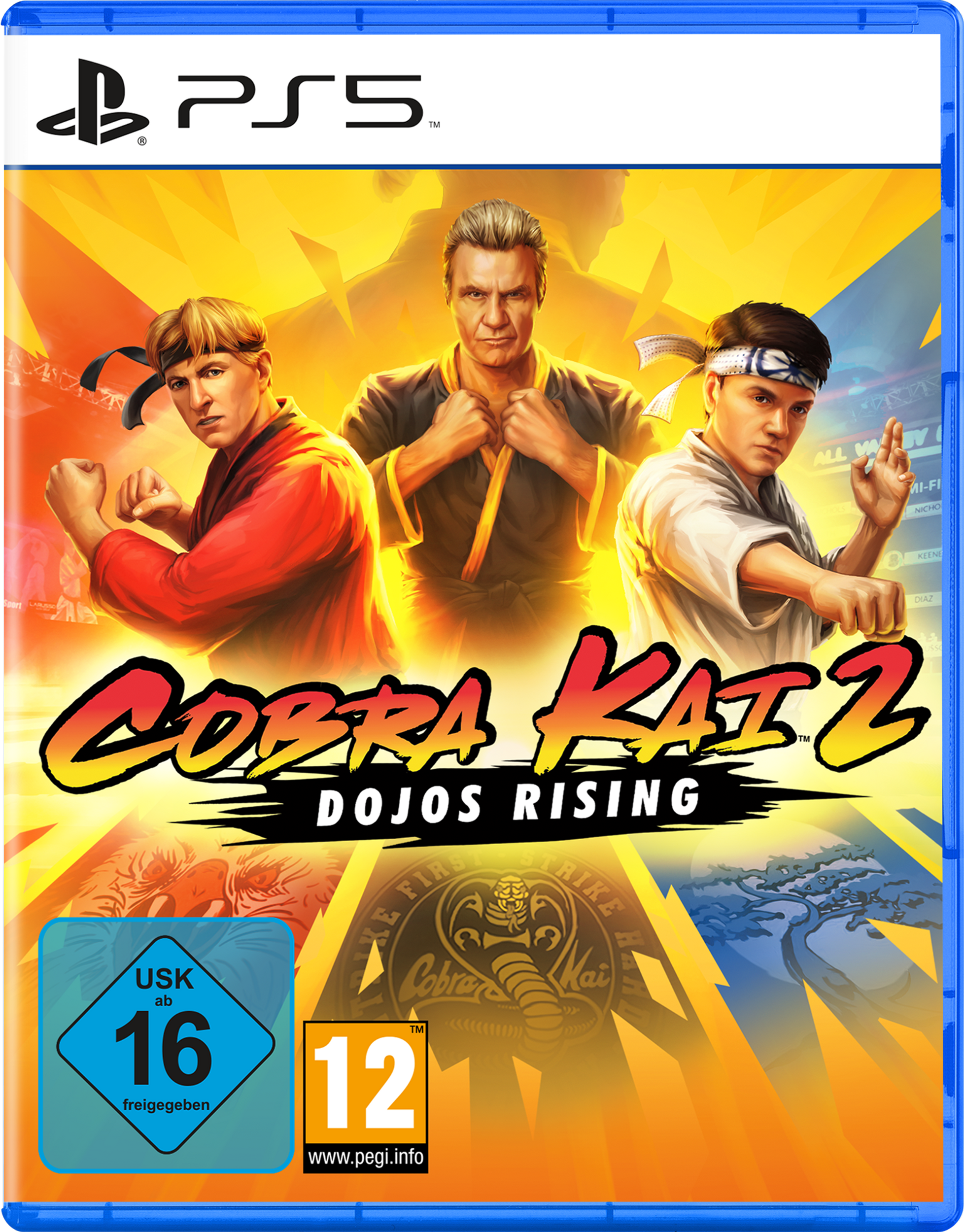 Cobra Kai 2 Dojos Rising