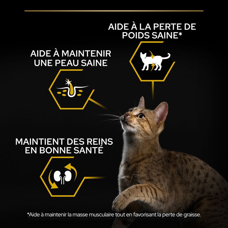 PURINA PRO PLAN Light Adult riche en dinde