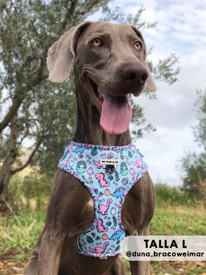 Coleira ajustável Doggysaurus