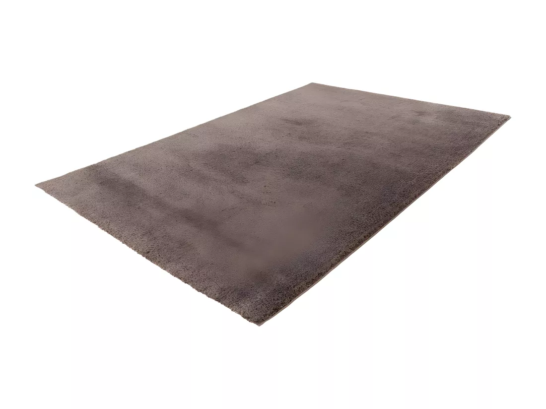 Tapis 290x200cm, design D005M coloris taupe - Confort et élégance pour votre intérieur
