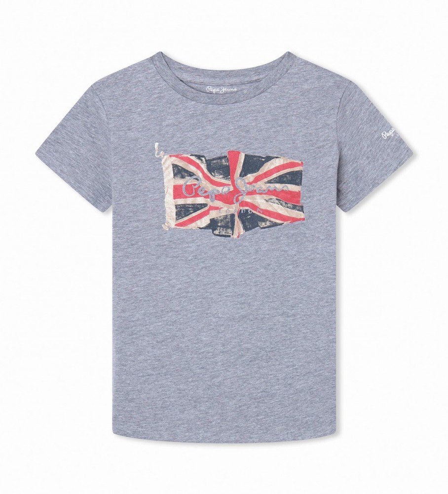 Camiseta Pepe Jeans Gray Flag Log