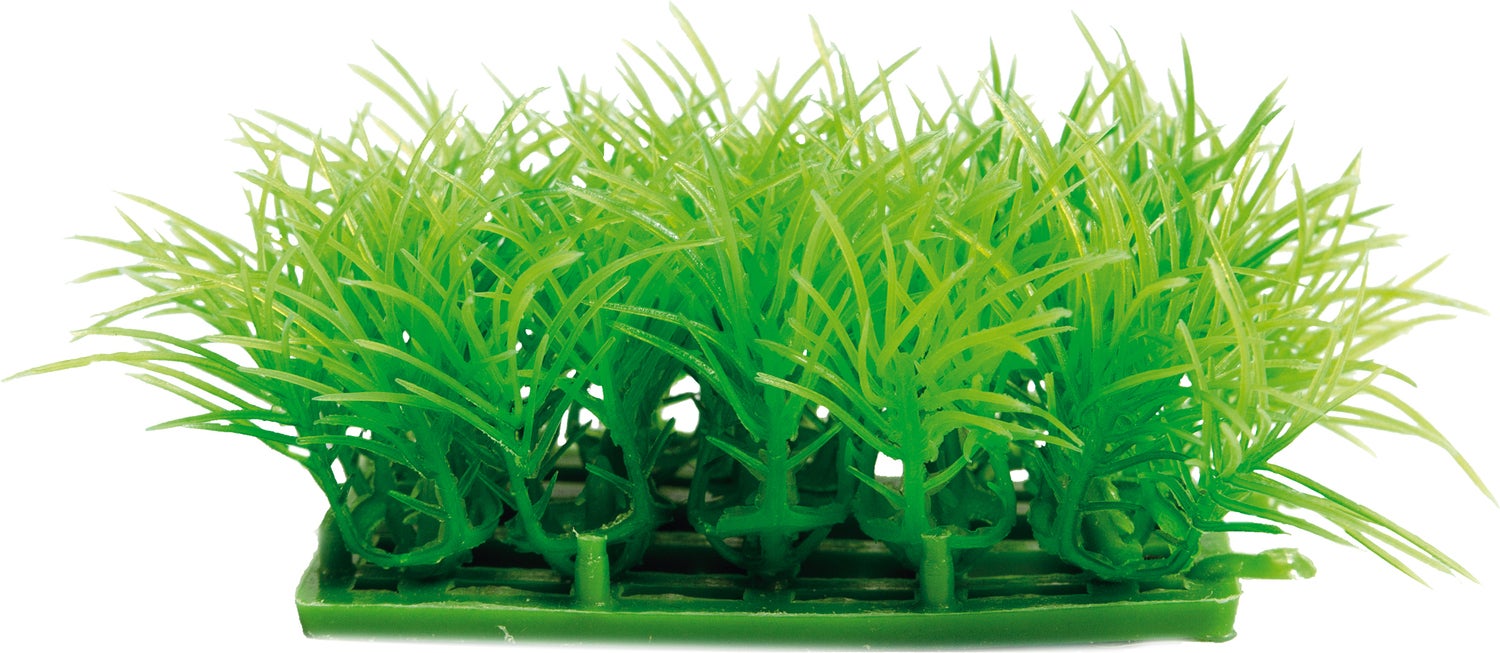 SuperFish aquarium kunstplant Easy Plants carpet S groen 8 x 4,5 x 2 cm