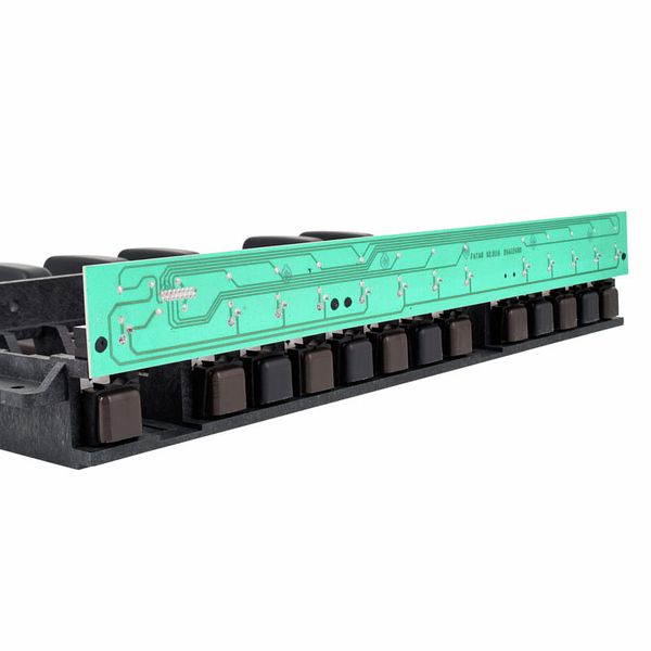 Doepfer MBP25 Electronic with 2 Pedal