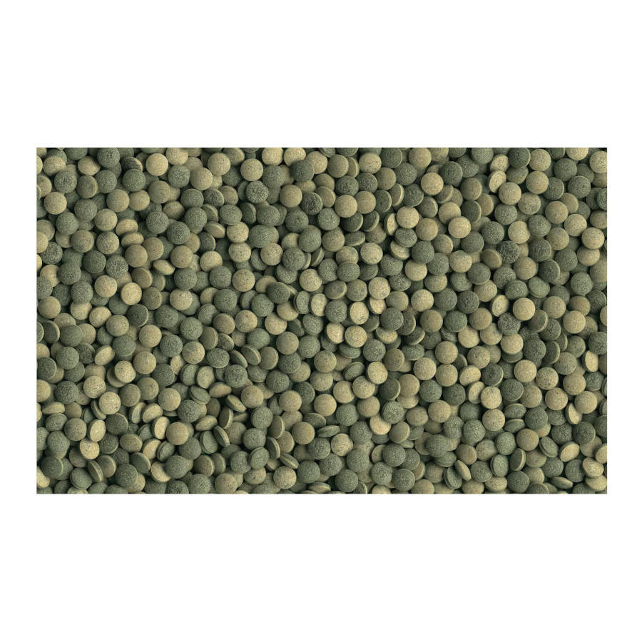 Comprimidos Tetra Pleco