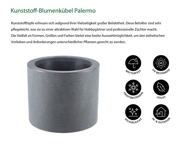 Dehner Kunststoff-Blumenkübel Palermo mit