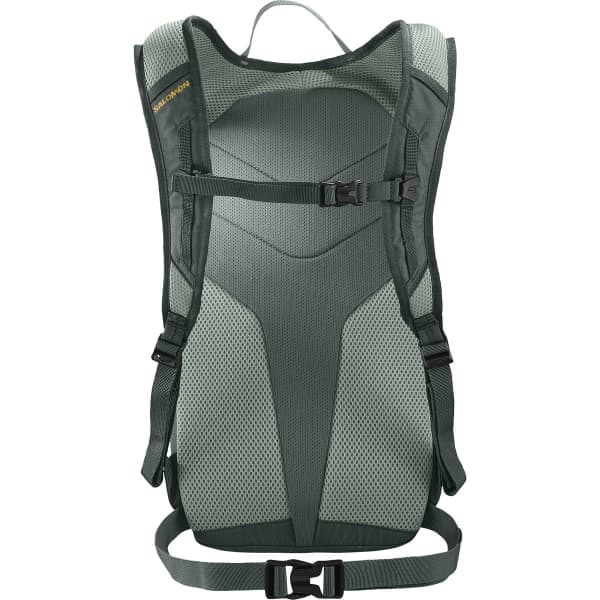 Sac trail SALOMON TRAILBLAZER 10 URBAN URBAN CHIC/GREEN MILIEU