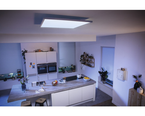 Philips Hue Paneel White Ambiance 19W 1820 lm 30x30 cm wit + dimmer - Compatibel met SMART HOME van Hornbach