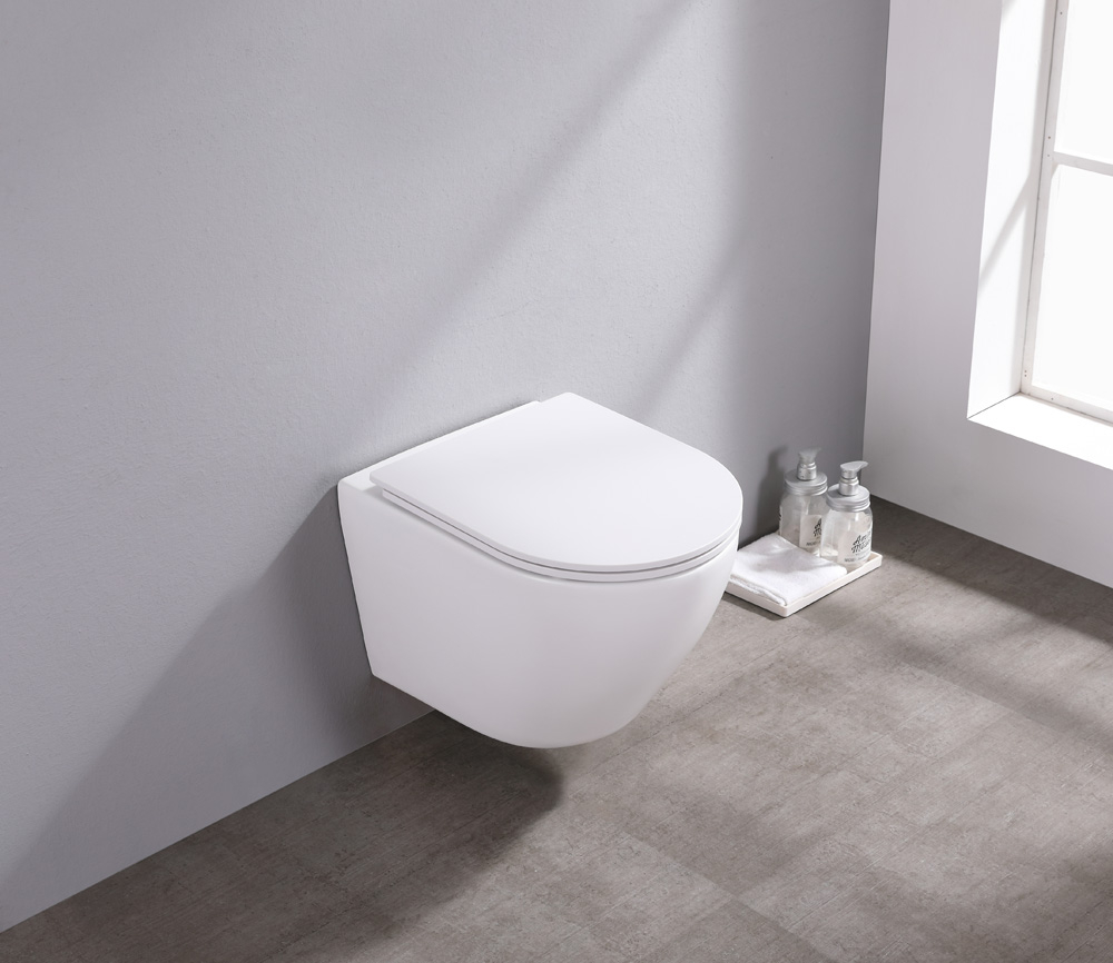 Saniclear Itsie mat witte toiletpot randloos met softclose zitting