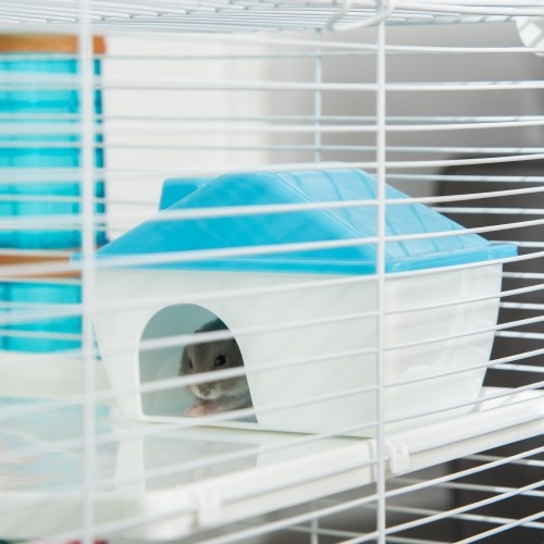 Gaiola PawHut com alça superior grande para hamsters