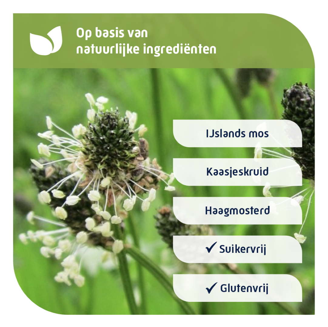 Natterman Hoest drank alle hoest suikervrij (120 ml)