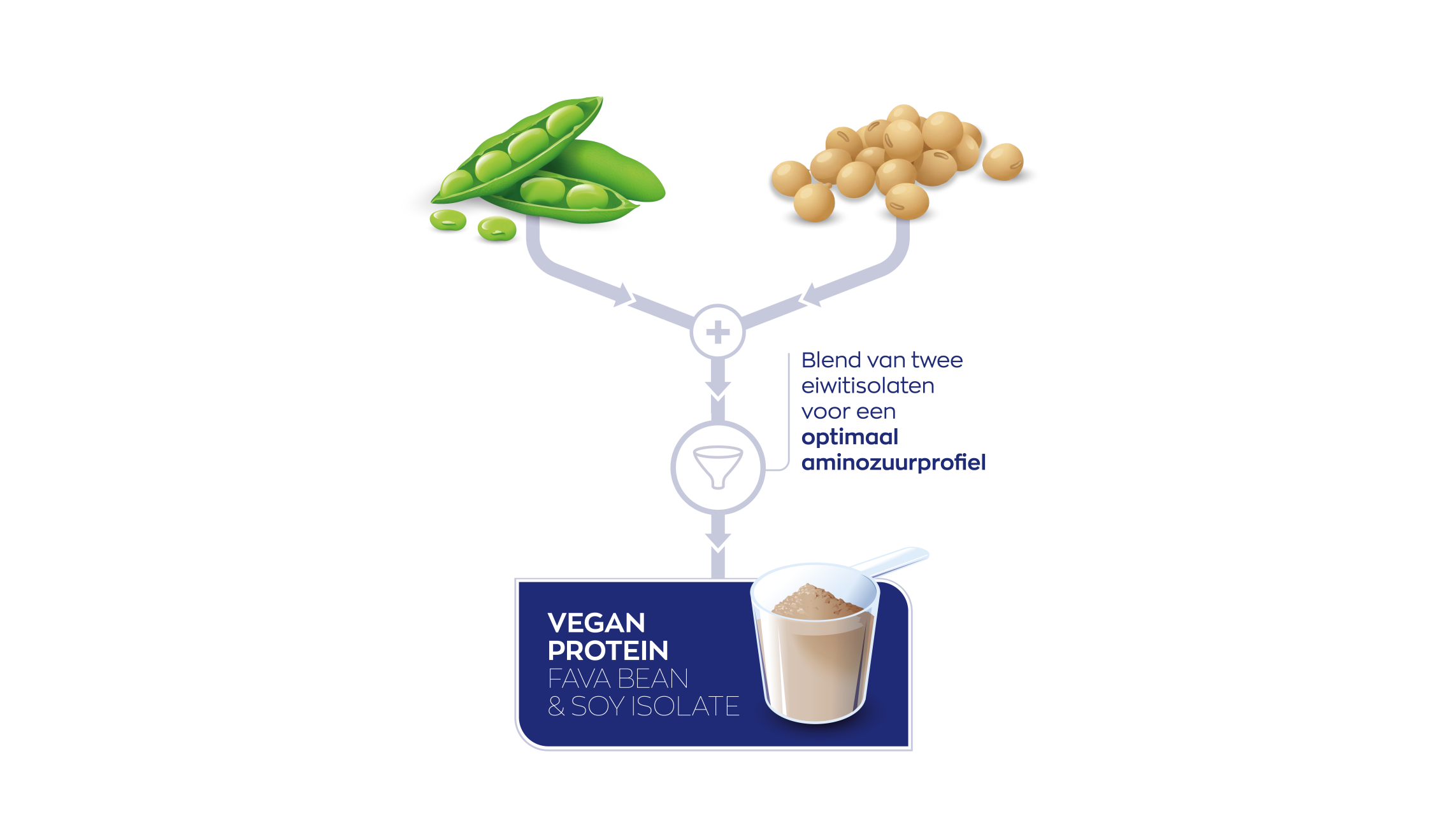 Vegan Protein Fava Bean & Soy Isolate