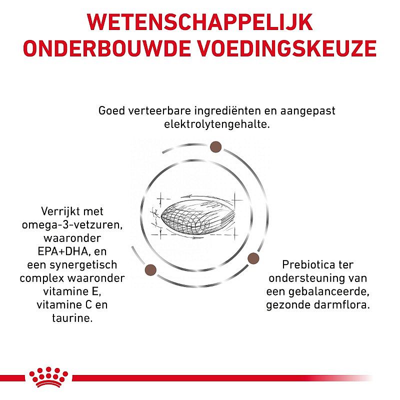 Royal Canin Gastro Intestinal Hairball - Kattenvoer ter ondersteuning bij haarballen