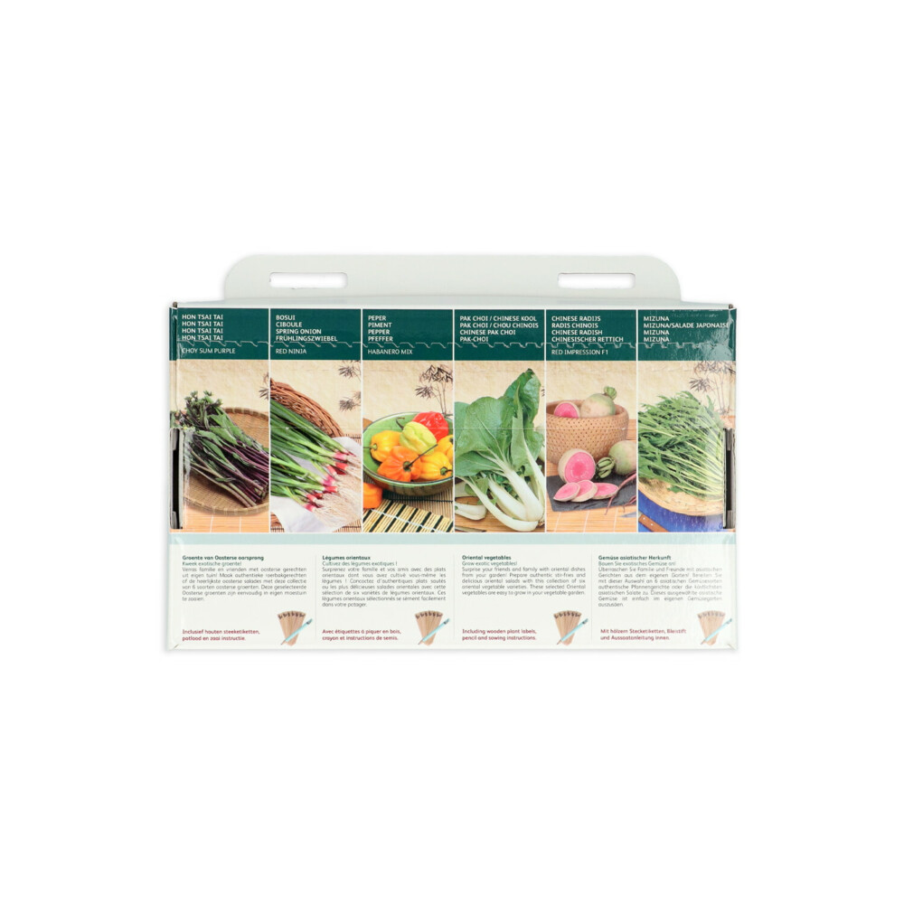 Buzzy Collection Kweekset 6 Groente Van Oosterse Oorsprong1 set
