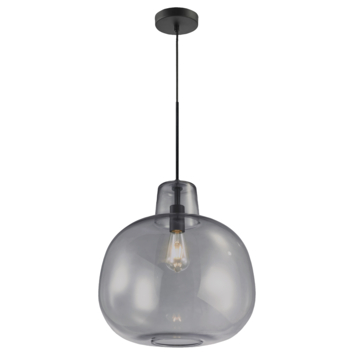 KARWEI hanglamp Sjors rookglas